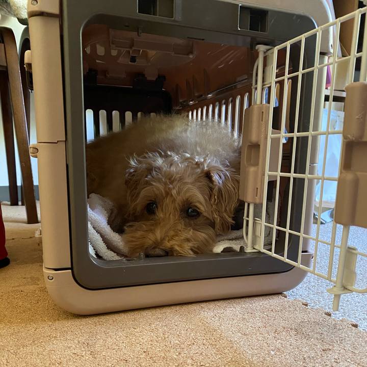 F0e14ca5 ebc1 4da9 bb7d 2430bb9516b1 1652140820613