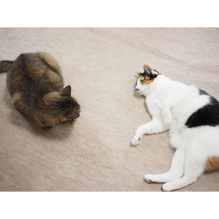 F0e14dd4 29da 4832 a2df c3bd1c6ede6d 1521643191717