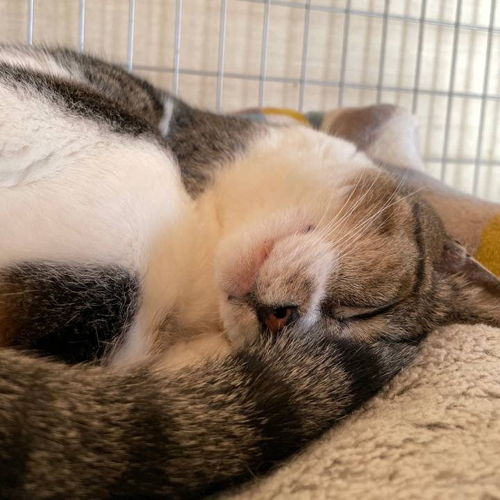 F0e1c106 0ca3 44cc 947c fd8121c4f675 1662428248993