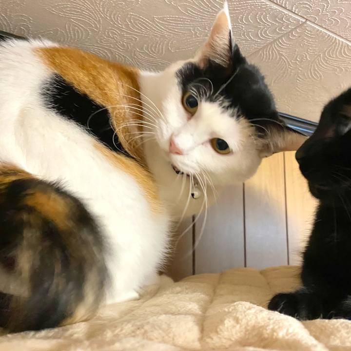 F0e1e940 a26d 4ea8 b345 30556b2f9fe3 1666703672800