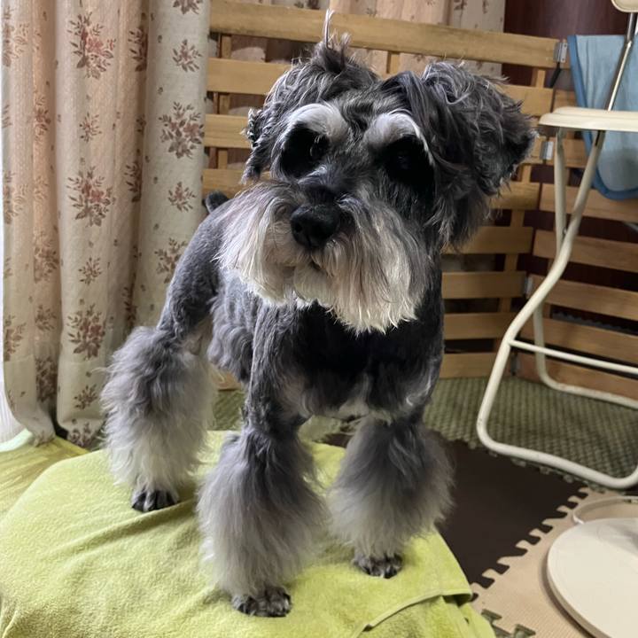 F0e1ed8b c9c7 4190 9175 a00263e5e9cd 1723960446692