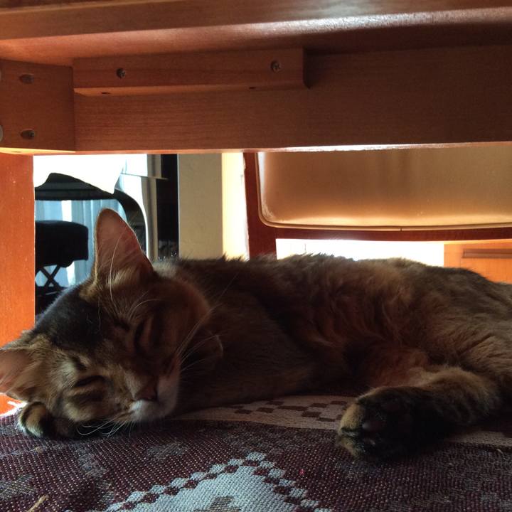 F0e1f4da 84e0 41e4 90fc 79f7b7e48227 1564985681511