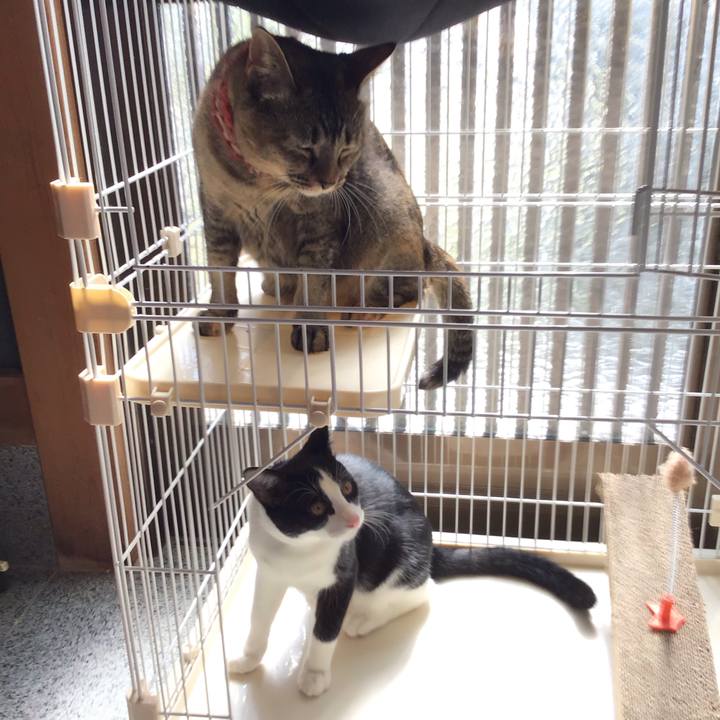 F0e2011e ae6b 47ac 971d 8bb2438bba20 1633749864758