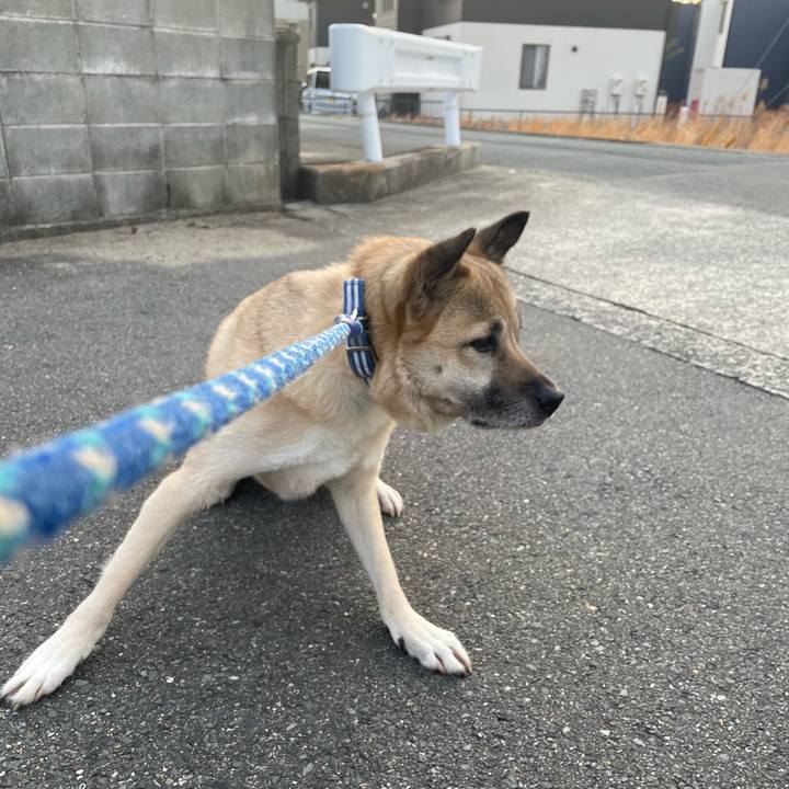 F0e221b4 65d8 43d0 bc66 e21bb9b2080d 1647002894669