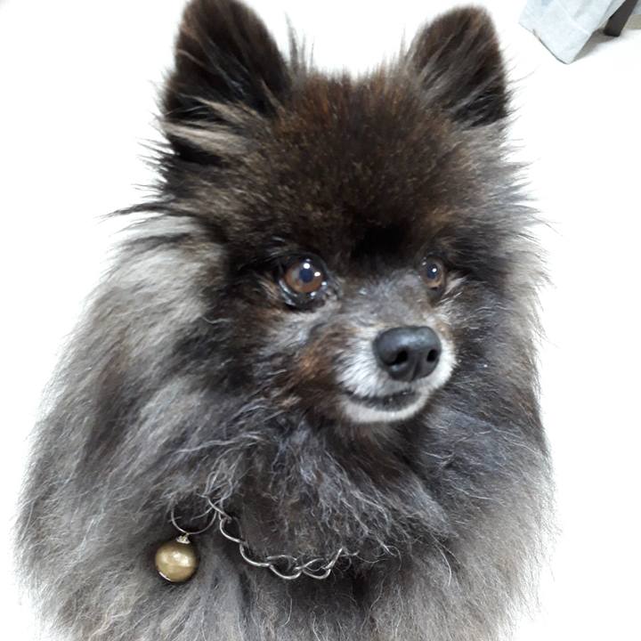 F0e2593b 8589 49ec 8e05 c8f5e47d077c 1519073145781