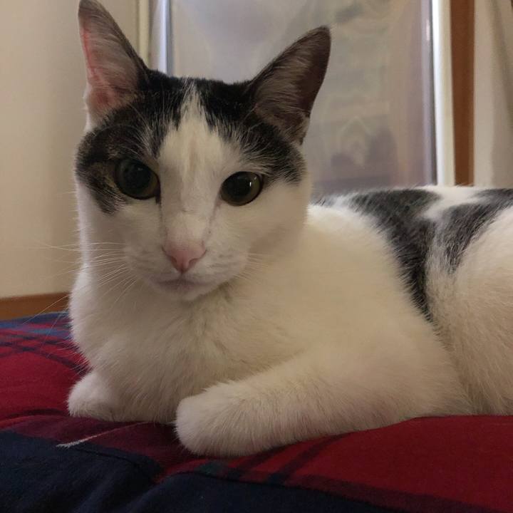 F0e274d7 2633 41b2 bd61 1912c74ca44f 1628732687562