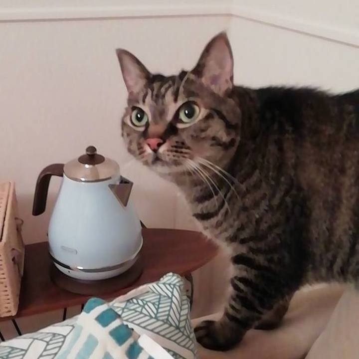 F0e2afe1 06f1 4645 9d76 edfa0916332d 1562591262335