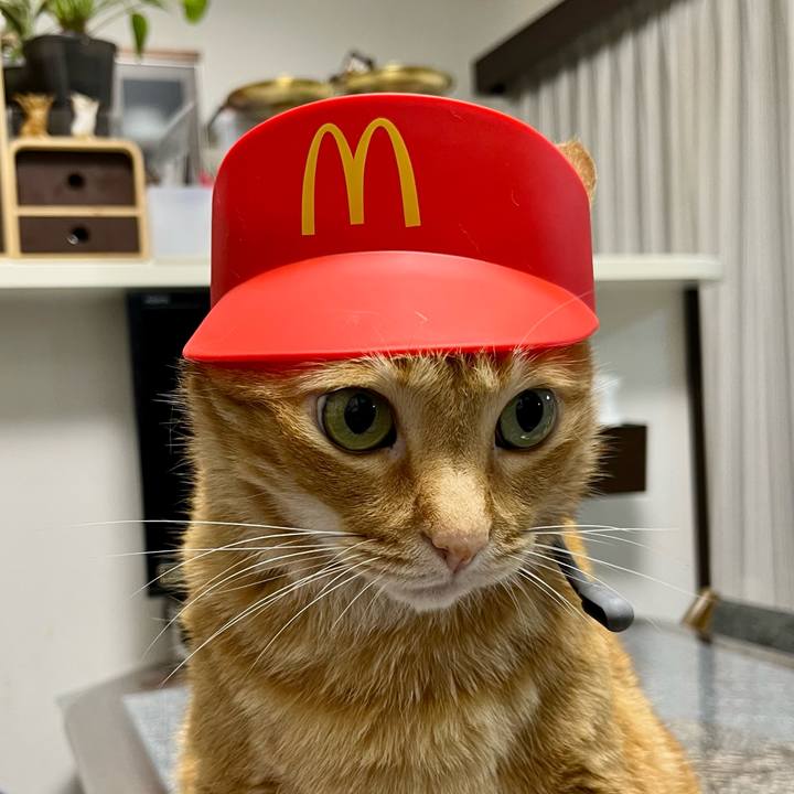 F0e319d7 4ca8 4d9f 90e1 fc37ff197f90 1690449483119