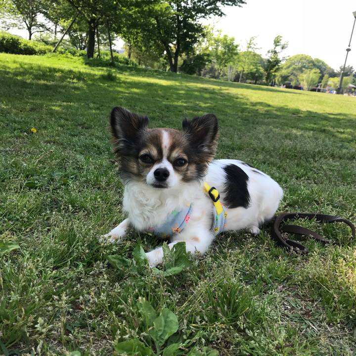 F0e3272e 0f29 4a0d b9bf 1ae9d2b64c0e 1524374290449