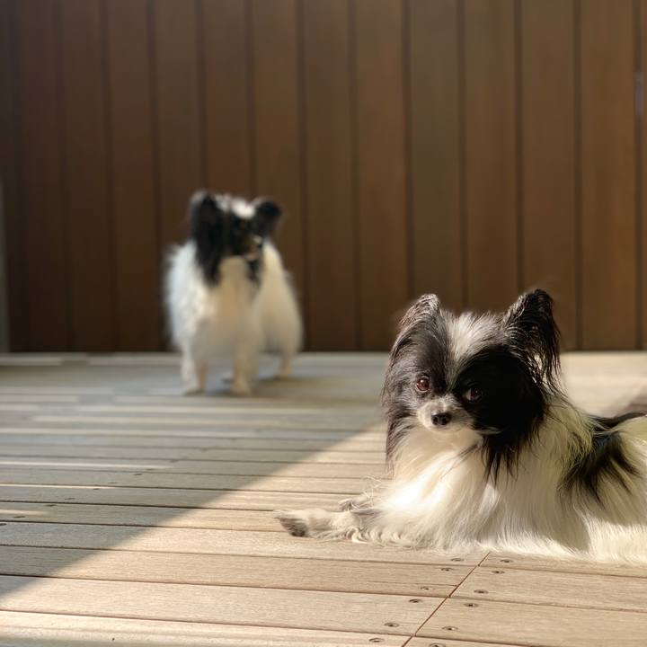 F0e35c62 bf25 4b60 9f55 f16f9d90abed 1564611966221