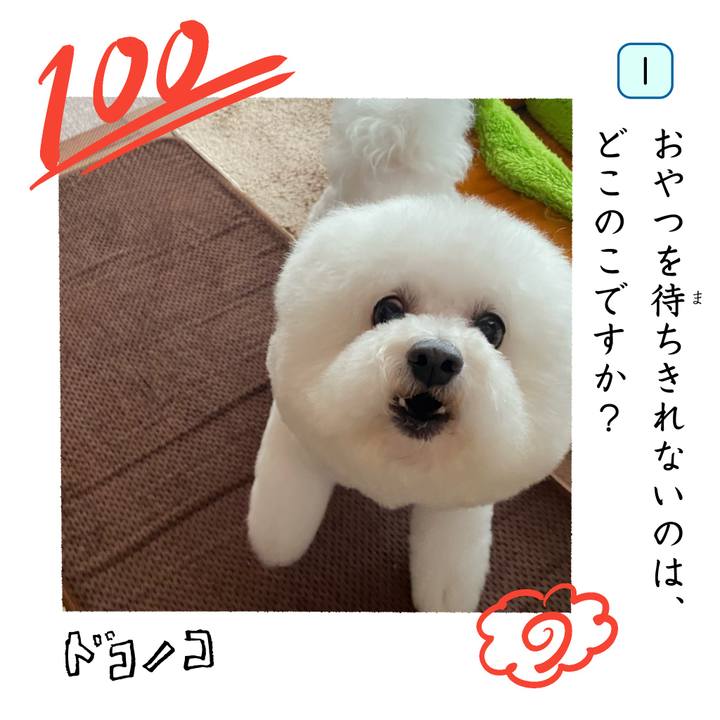 F0e35e76 a59c 4fc0 9a6a fad79b506d17 1744325847289