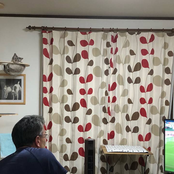 F0e37726 cf5c 4e4b bdf5 e522bf6eef32 1627473277483