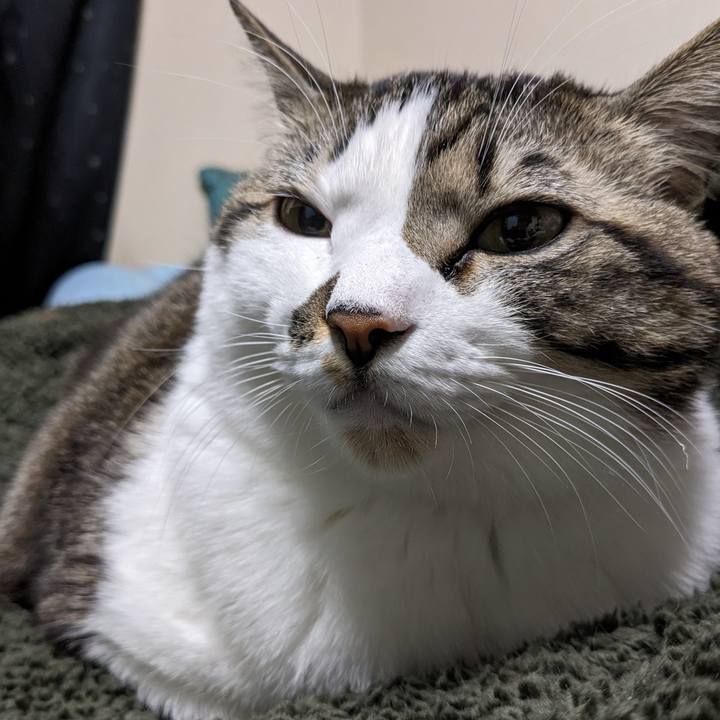 F0e37d37 6dbe 4fba 9719 541348362d1f 1703332401284