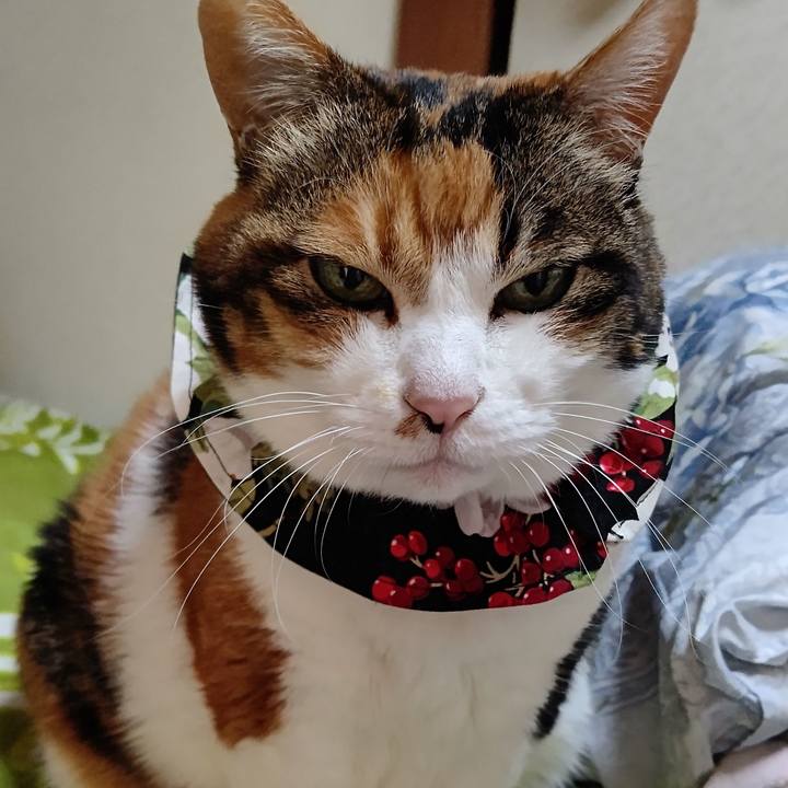 F0e3947a 6097 4684 9b08 a7573131ff8c 1646711161199