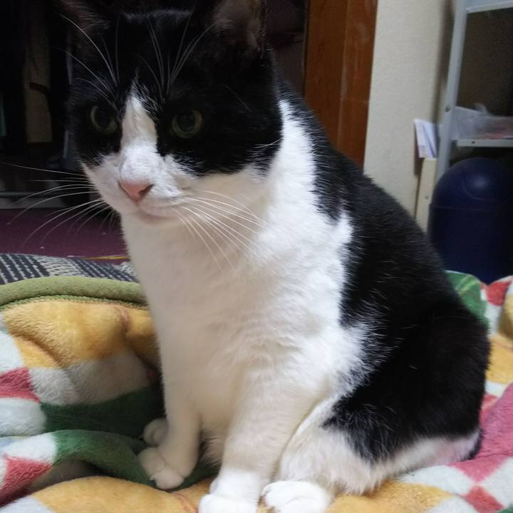 F0e3a72d 35c0 4304 abef 1f3b19fce9fa 1542105959836