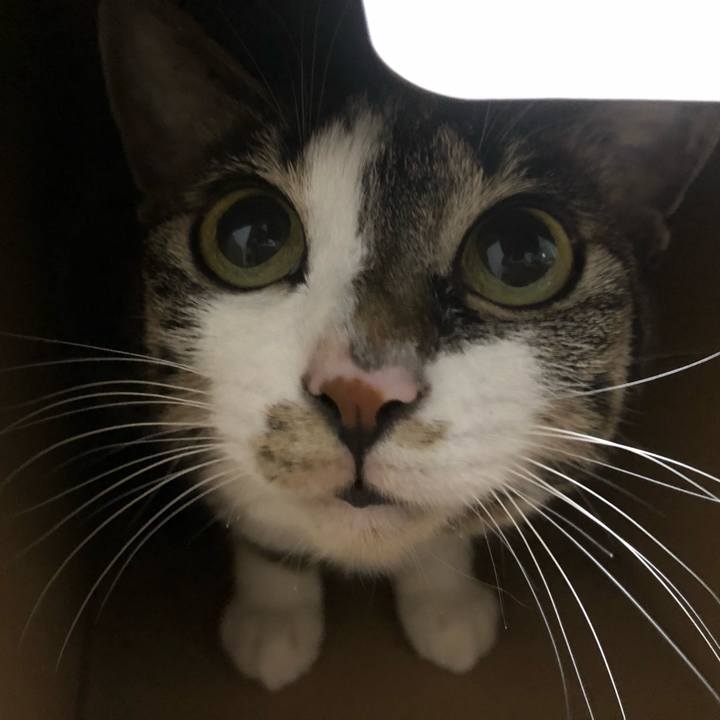 F0e3c20a e93d 44b4 a9ac f59c9c30bc35 1626533367059