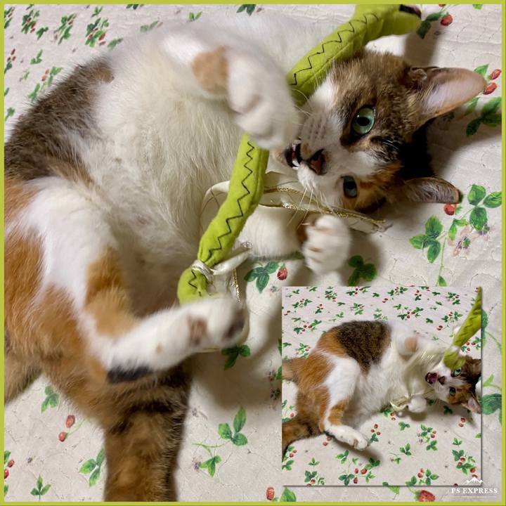 F0e410f2 2b6d 4474 b36b 7d13ced11955 1597322847221