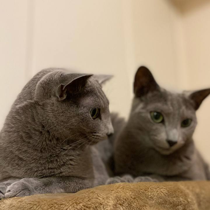 F0e432e9 59b0 4958 a8f5 c5077e83d345 1655363554466