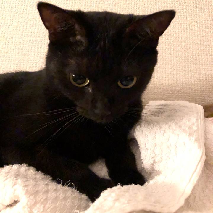 F0e44051 129c 40b9 98ad b2a0e3e61a04 1538625245816