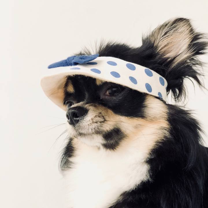 F0e4df7d 5708 4b6c 9afc 0da7142d04b0 1528647412117