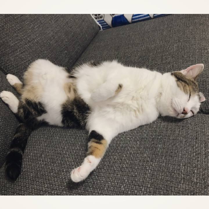 F0e4ea94 d77c 4699 bb79 52fc60bd48bb 1562985315317