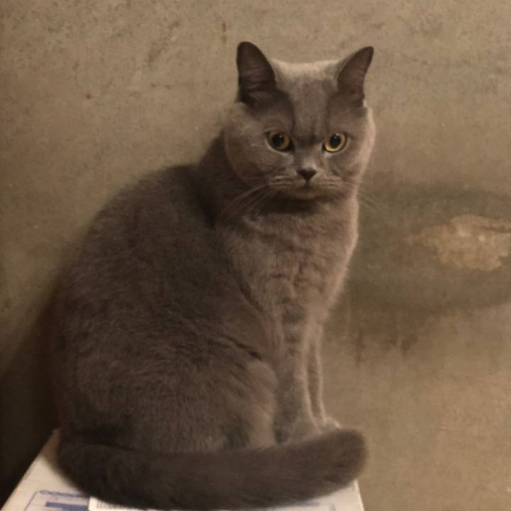 F0e4f309 19bd 43b9 9e73 ed9fd1979a0d 1570711591549