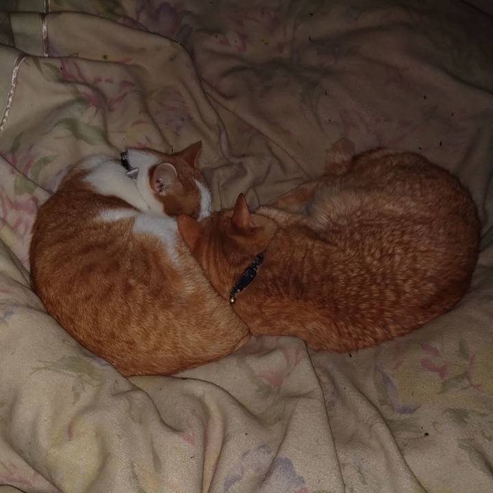 F0e5203d 09c1 4b67 8e59 b3b2a69e0215 1767365191762