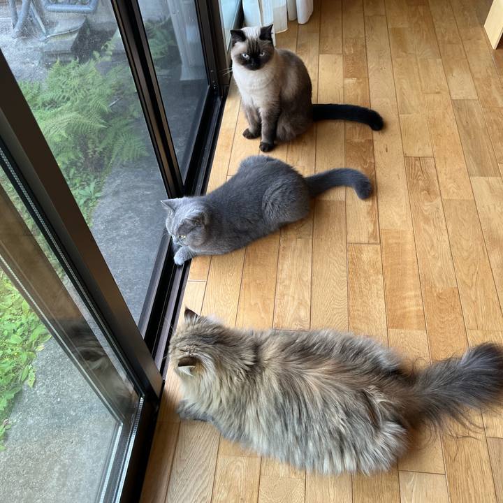 F0e56dcb 5b06 41c1 a0d7 eaedfe77265d 1633654759855