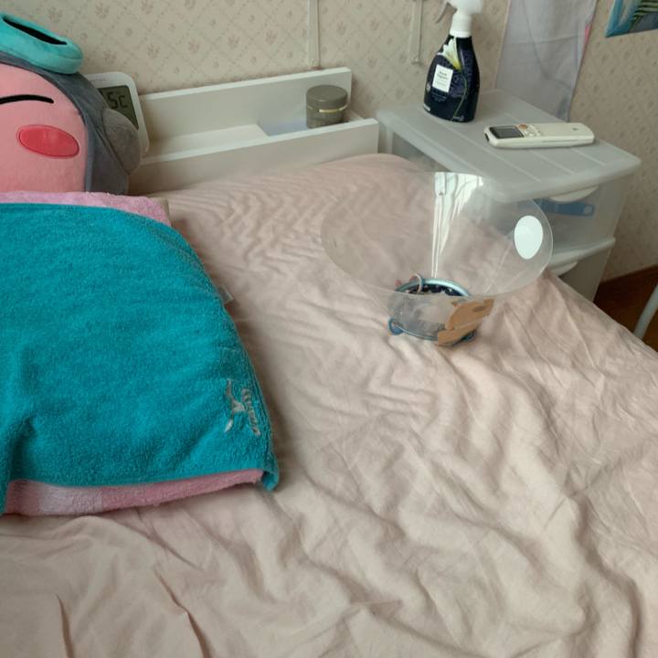 F0e57d8a c94f 48d7 a1fd 09c78a28e19e 1568408646261