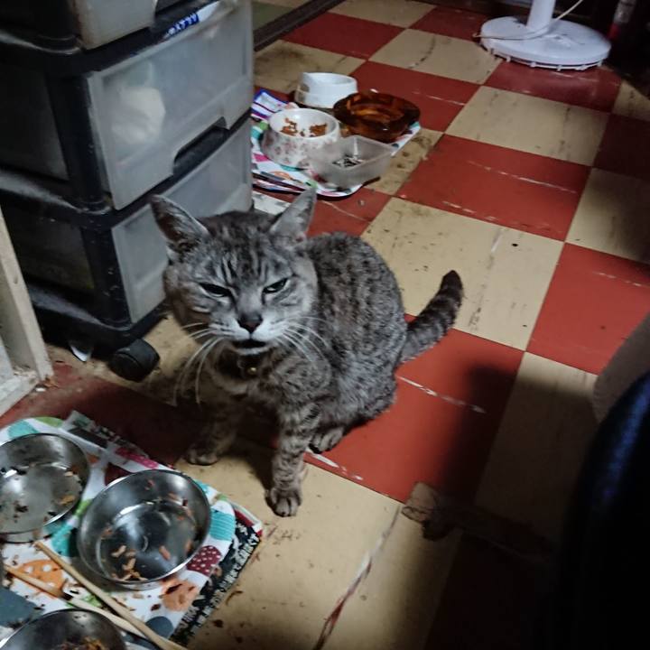 F0e59277 afe1 4703 8b50 0e650e38b858 1592940292929