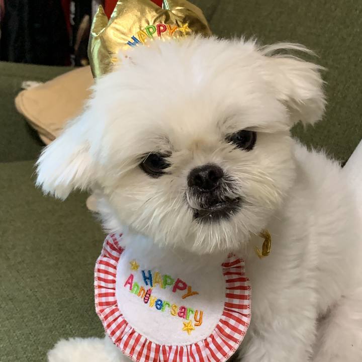 F0e5ab83 e17b 4c13 a8fd 2dd4b713d426 1658583199224