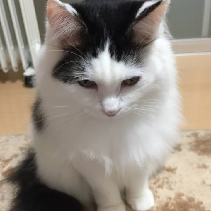 F0e5c76f 20b7 4478 8516 d88b44feb27d 1511793420392