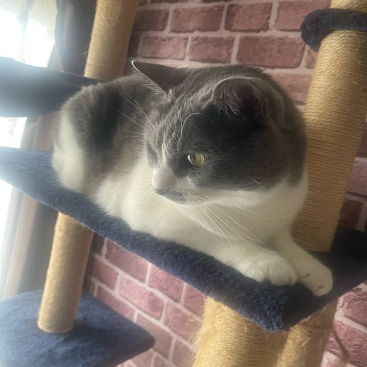 F0e5f07b 52ec 4e61 9dc5 40cc3b3b7aaf 1725233543690