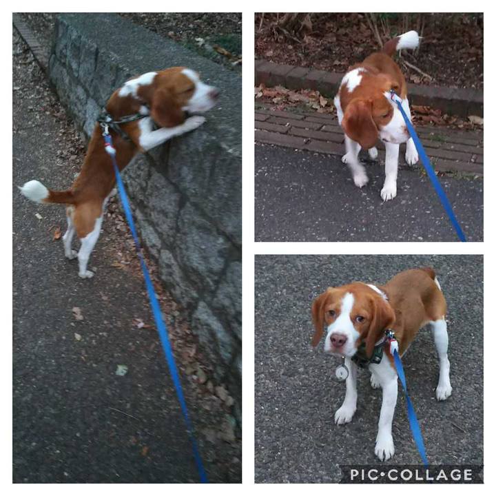 F0e63183 5eee 4ff7 8775 4e3e6cc3fcbd 1552821569552