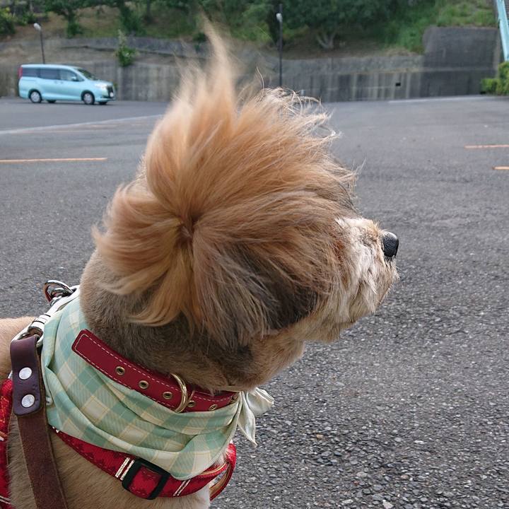 F0e63ff1 5912 4e15 ac75 037c45774b4f 1558001505554