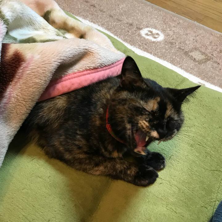 F0e66d1d 0ff2 45d5 a995 f1eb37003860 1525226869803