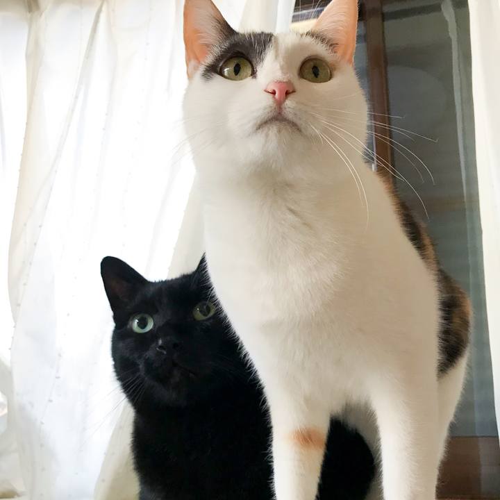 F0e67e2c d9eb 4909 a6e0 37519e99f28d 1514022517952