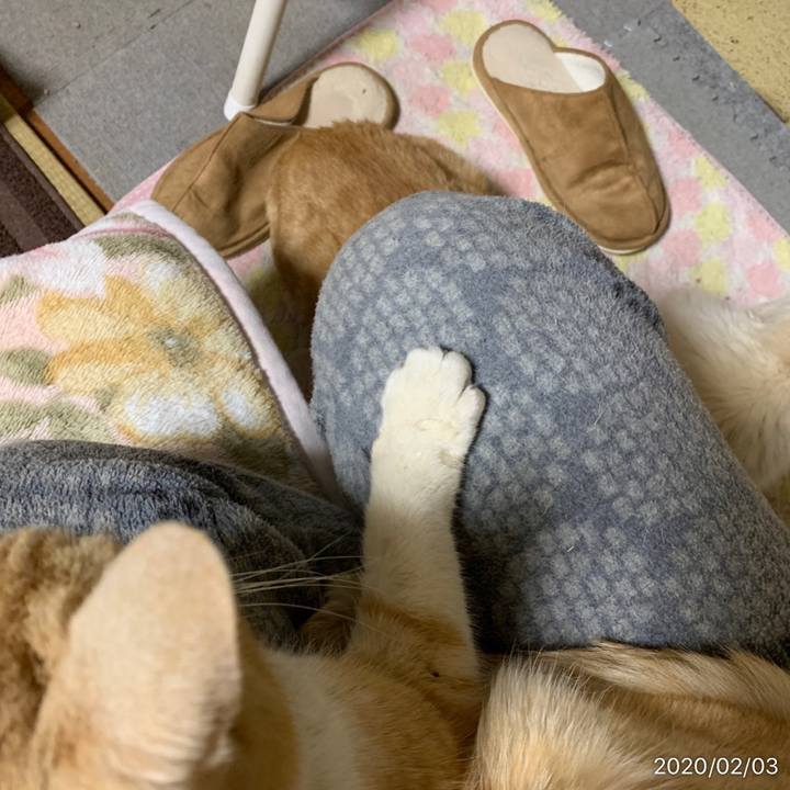 F0e68bb6 eaaf 4a5b b39f 2df44f02df40 1580735998147