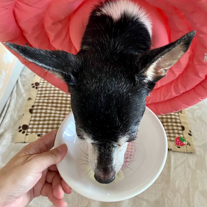 F0e69161 3071 449b a70f fb6d01c6ac17 1631747264007