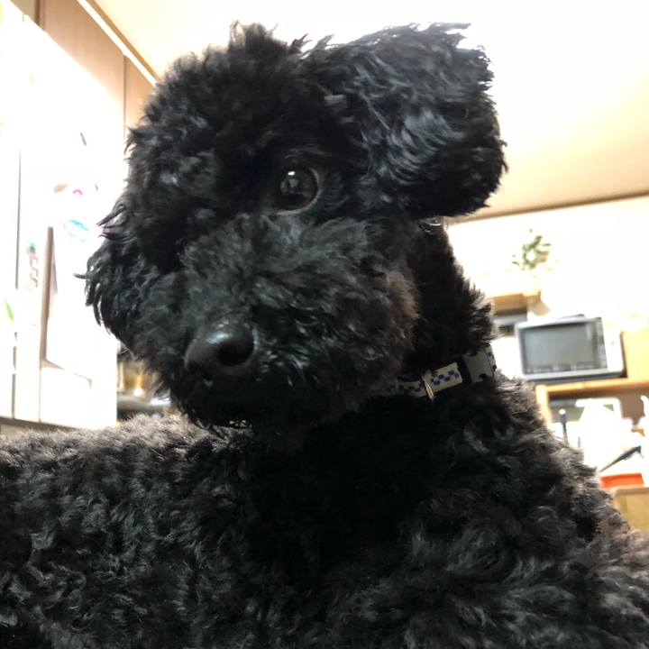 F0e69918 9e5a 4d82 82b2 ac2e26f15cdd 1526388131361