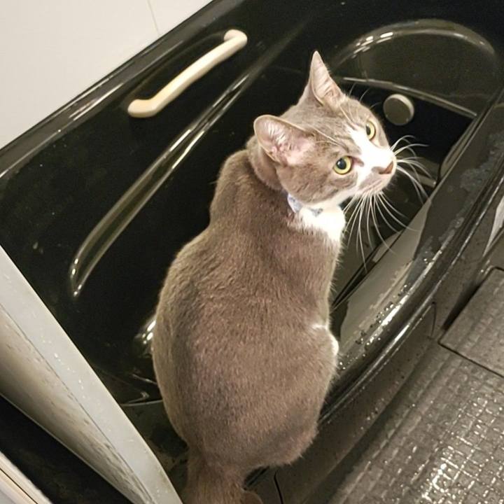 F0e6b2f8 98a5 44cb 9b9e 79ec94ce5a86 1666184418455