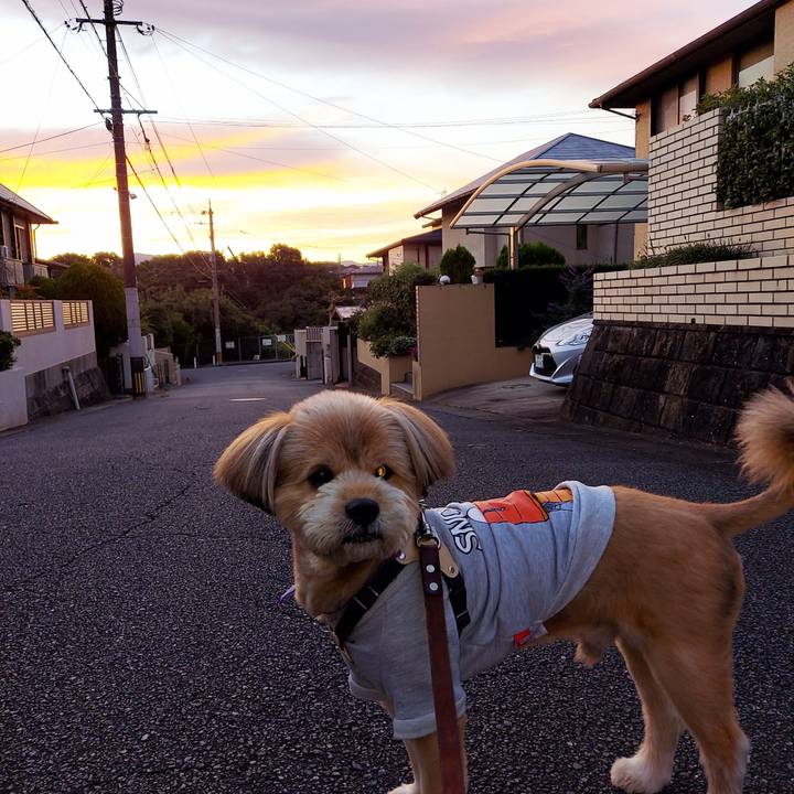 F0e6e042 6072 4448 97ce 45ba09895181 1635027690096