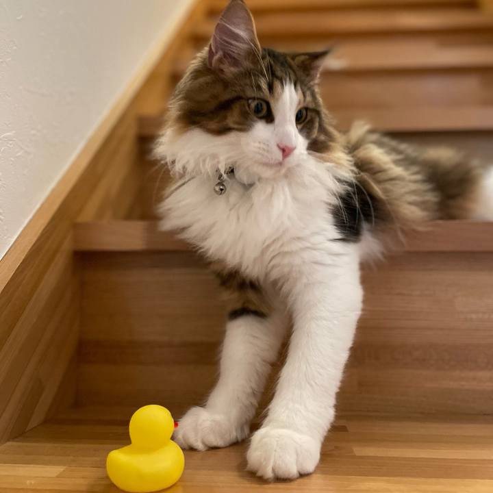 F0e6e073 08b9 42c6 a941 d3a7ea0028d4 1640611655652