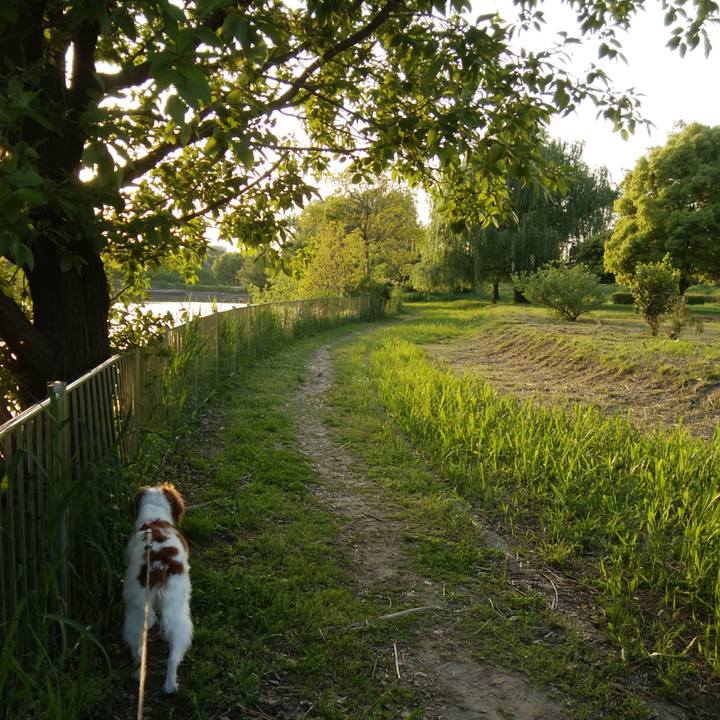 F0e71776 7274 4773 aa6d 50edb77e39bc 1525004306691