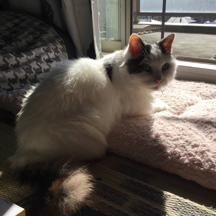 F0e72322 99d2 41a6 a218 d1089cf02614 1573185336275