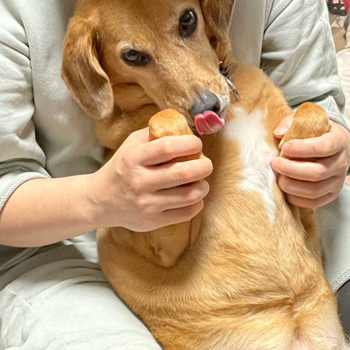 F0e7291e a93f 4f51 bb86 26988913d978 1625310973637