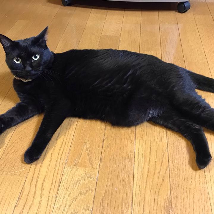 F0e75081 a992 4a87 9a09 e732ac6adbdf 1638543332411