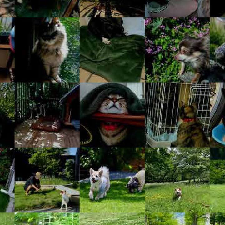 F0e76f61 06bd 48ef a8e1 2d2f31e4088b 1781505098435