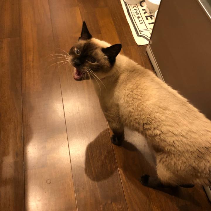 F0e781e2 bac8 441a 8134 eb78e13532bb 1535011313745