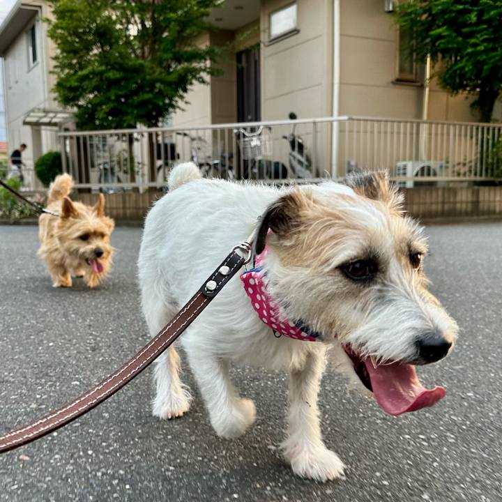 F0e78fed a369 45e2 a9bb b2f8c2372042 1751032313299